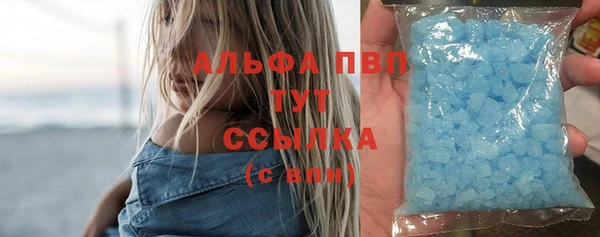 спайс Вяземский
