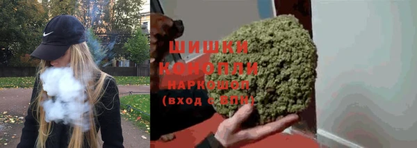 спайс Вяземский