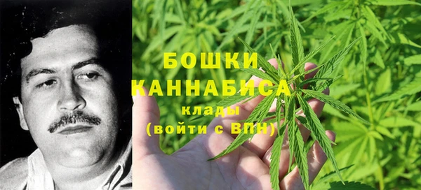 спайс Вяземский