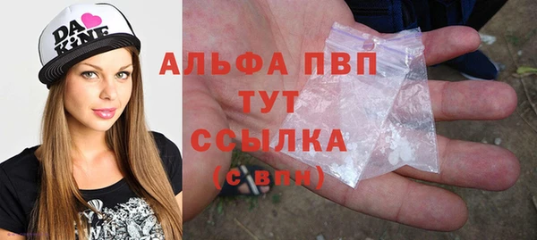 стаф Горняк