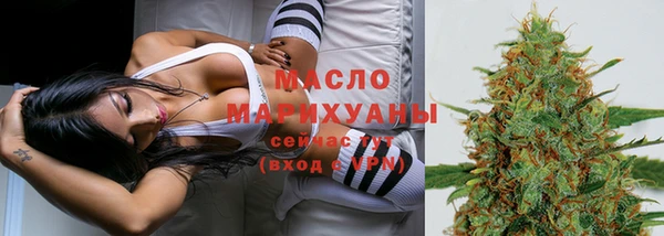 стаф Горняк